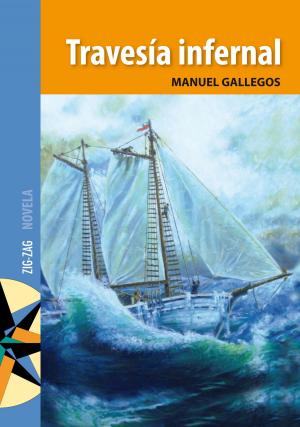 Cover of the book Travesía infernal by Manuel Gallegos
