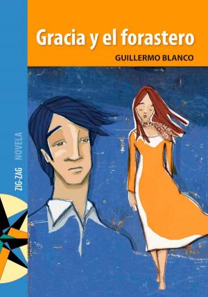 Cover of the book Gracia y el forastero by Saúl Schkolnik