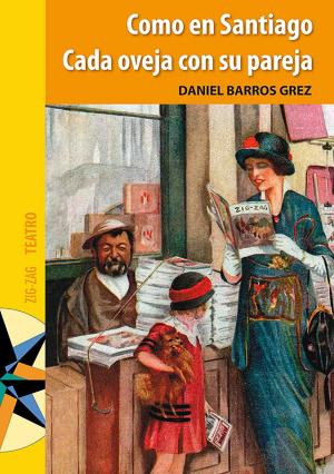 Cover of the book Como en Santiago / Cada oveja con su pareja by Ana María Del Río