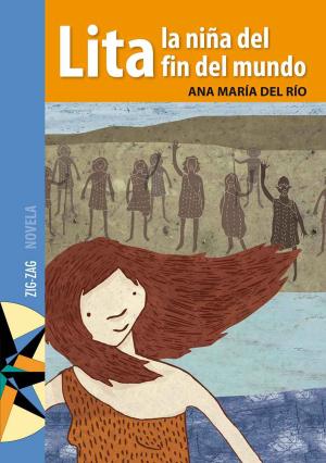 Cover of the book Lita, la niña del fin del mundo by Guillermo Blanco