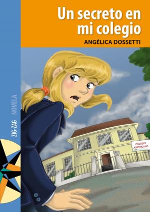 Cover of the book Un secreto en mi colegio by Homero
