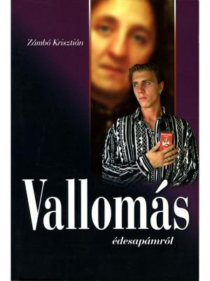 Cover of the book Vallomás édesapámról by Caroline Paul