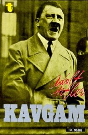 Book cover of Kavgam