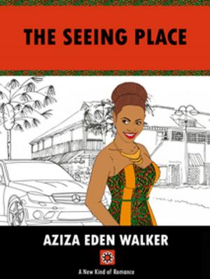 bigCover of the book The Seeing Place by 