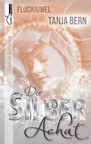 Cover of the book Der Silberachat - Fluchjuwel 1 by Lina Jacobs