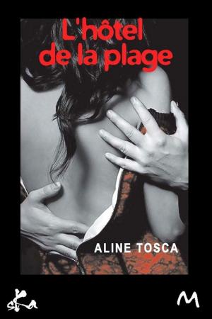 Cover of the book Hôtel de la plage by Hafed Benotman