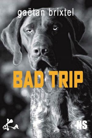 Cover of the book Bad Trip by José Noce