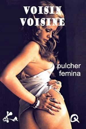 Cover of the book Voisin Voisine by Sullivan Rabastens