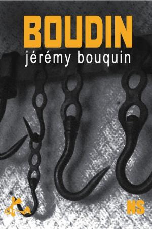 Cover of the book Boudin by Jan Thirion