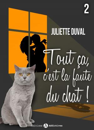 Cover of the book Tout ça, c’est la faute du chat ! - 2 by Lucy K. Jones