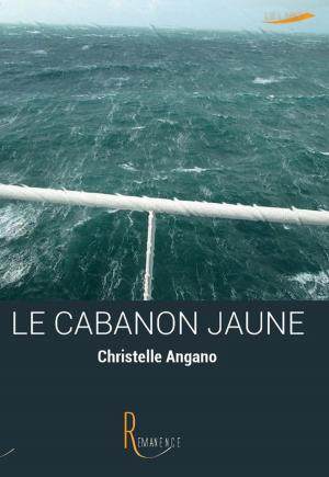 Cover of the book Le cabanon jaune by Nikki Bolvair