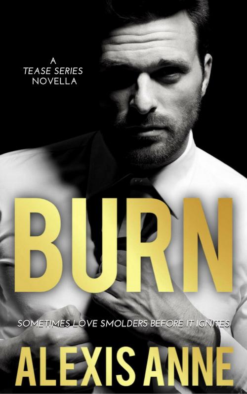 Cover of the book Burn by Alexis Anne, Spinning Compass Publishing