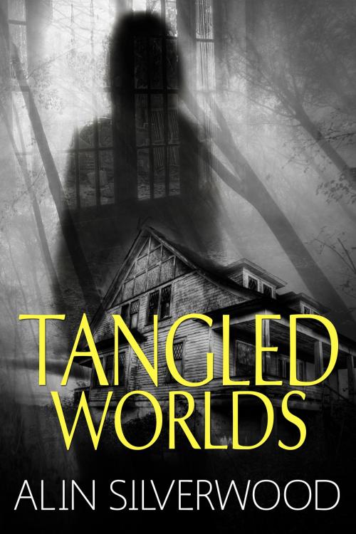 Cover of the book Tangled Worlds by Alin Silverwood, G. Alin Barnum, Popskull Press