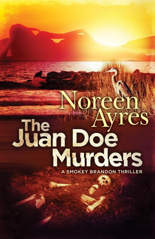 Cover of the book The Juan Doe Murders by Noreen Ayres, Brash Books
