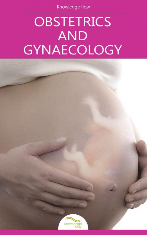 Cover of the book Obstetrics and Gynaecology by Knowledge flow, Knowledge flow