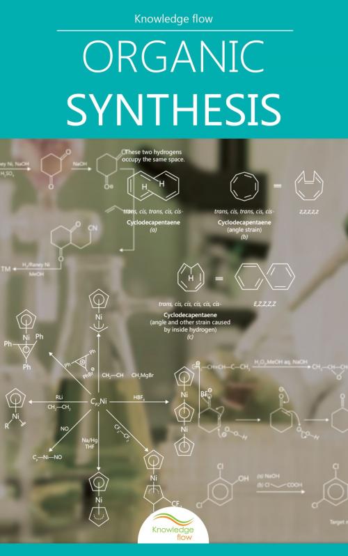 Cover of the book Introduction to Organic Synthesis by Knowledge flow, Knowledge flow