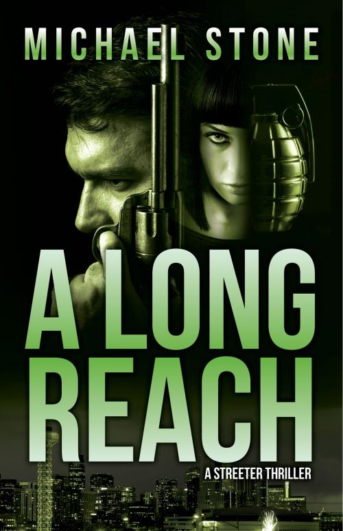 Cover of the book A Long Reach by Michael Stone, Brash Books