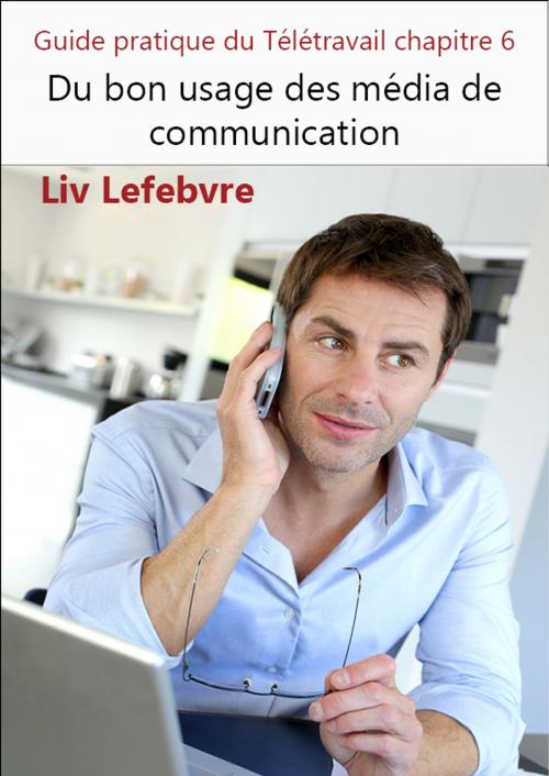 Cover of the book Du bon usage des média de communication by Liv Lefebvre, Liv Lefebvre