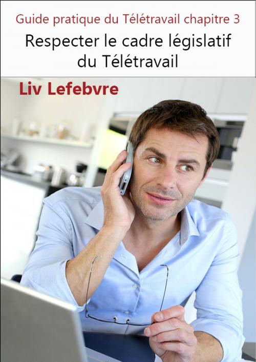 Cover of the book Respecter le cadre législatif du Télétravail by Liv Lefebvre, Liv Lefebvre