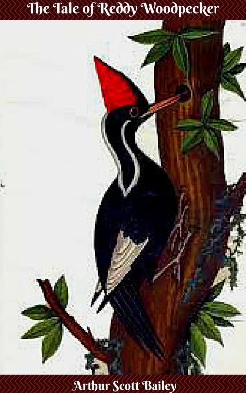 Cover of the book The Tale of Reddy Woodpecker by Arthur Scott Bailey, JW Publications