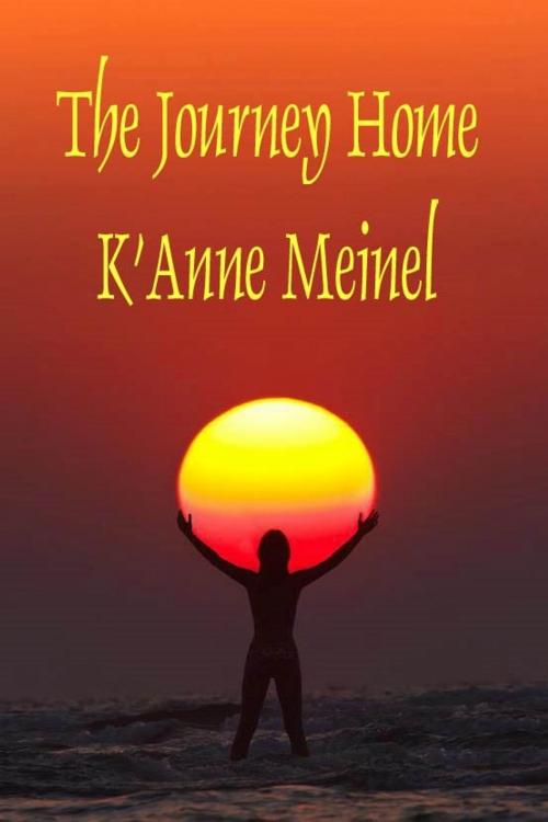 Cover of the book The Journey Home by K'Anne Meinel, Shadoe Publishing