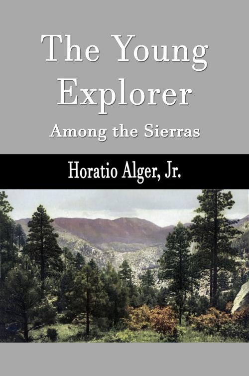 Cover of the book The Young Explorer (Illustrated) by Horatio Alger, Jr., Steve Gabany
