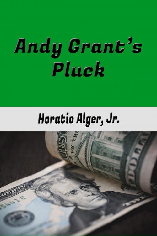 Cover of the book Andy Grant's Pluck by Horatio Alger, Jr., Steve Gabany