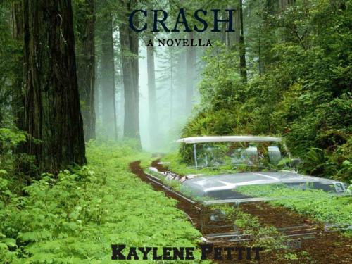 Cover of the book CRASH by Kaylene Pettit, Kaylene Pettit