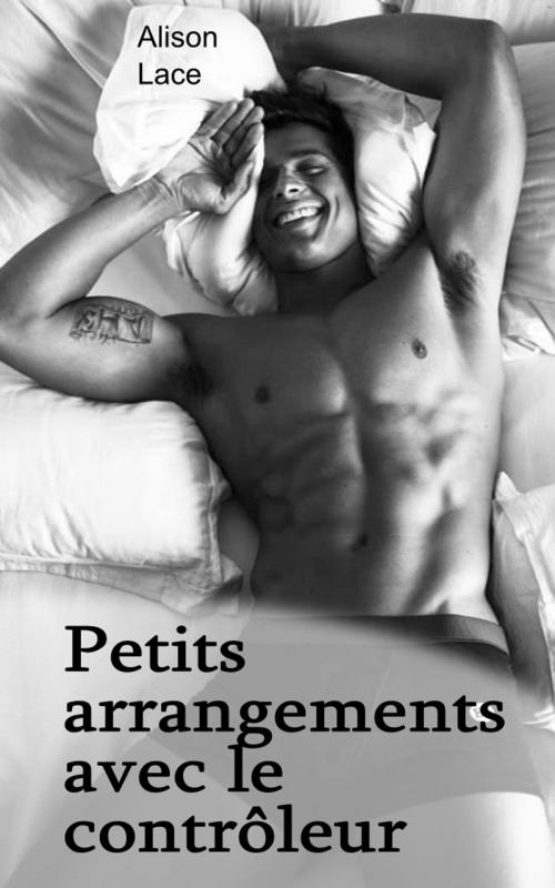 Cover of the book Petits arrangements avec le contrôleur by Alison Lace, Alison Lace