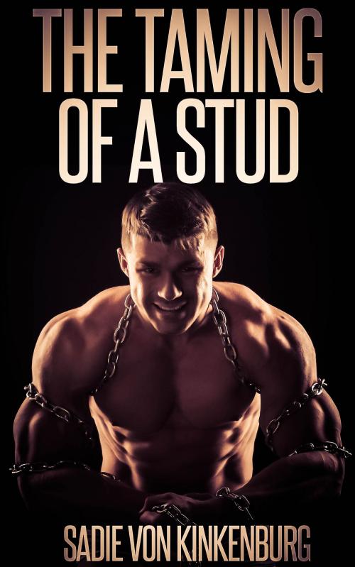 Cover of the book The Taming of a Stud by Sadie Von Kinkenburg, The Eroticatorium