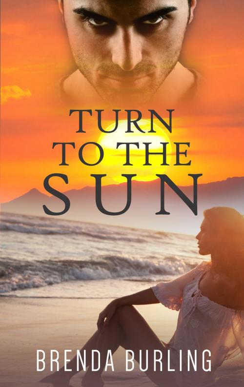 Cover of the book Turn To The Sun by Brenda Burling, Limitless Publishing LLC