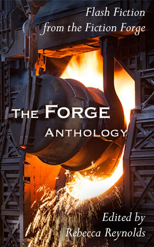 Cover of the book The Forge Anthology by Rebecca Reynolds, Kerry Hudson, Damyanti Biswas, Jo Cannon, Jac Cattaneo, Sara Crowley, Frances Gapper, Brian George, John Haggerty, Dan Malakin, Valerie O’Riordan, Jessica Patient, Sommer Schafer, Jacky Taylor, Rachel Wild, The Fiction Forge