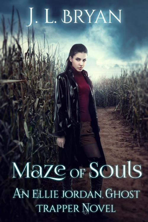 Cover of the book Maze of Souls by J. L. Bryan, jlbryanbooks.com