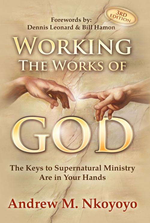 Cover of the book Working The Works of God, 3rd Edition by Dr. Andrew Nkoyoyo, Spirit Life Publishing, LLC