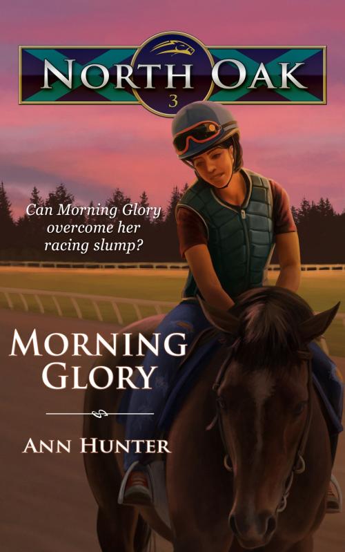 Cover of the book Morning Glory by Ann Hunter, Aisling House, LLC