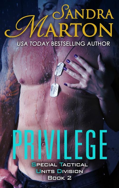 Cover of the book Privilege by Sandra Marton, Sandra Marton