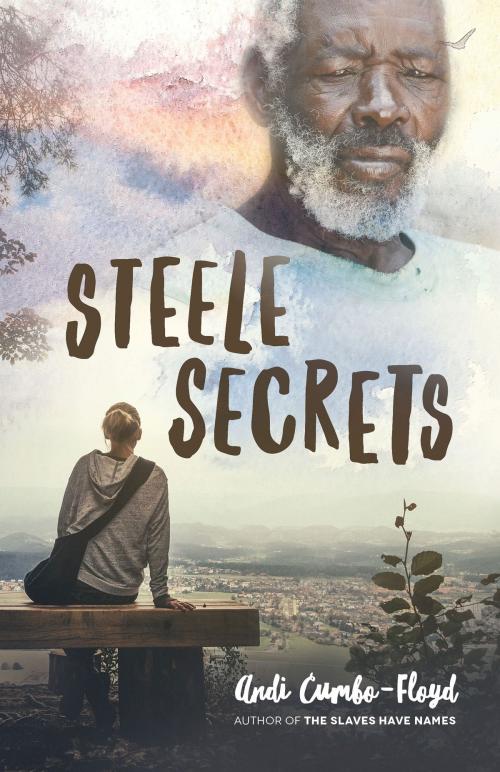 Cover of the book Steele Secrets by Andi Cumbo-Floyd, CreateSpace