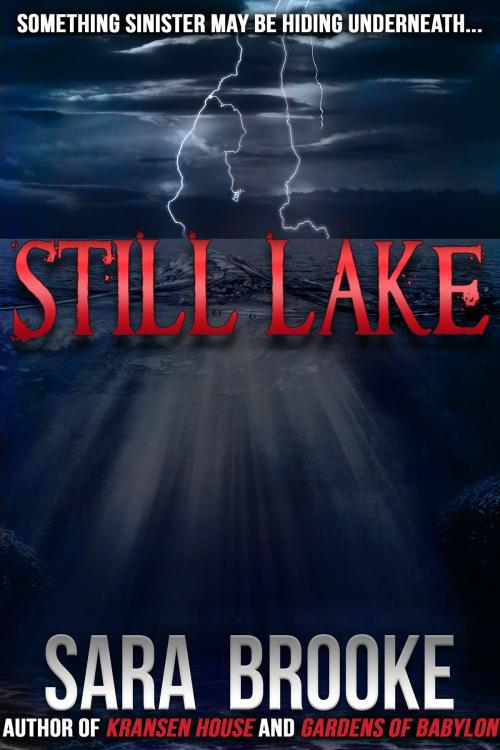 Cover of the book Still Lake by Sara Brooke, Crossroad Press