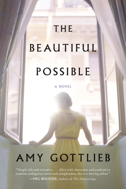 Cover of the book The Beautiful Possible by Amy Gottlieb, Harper Perennial