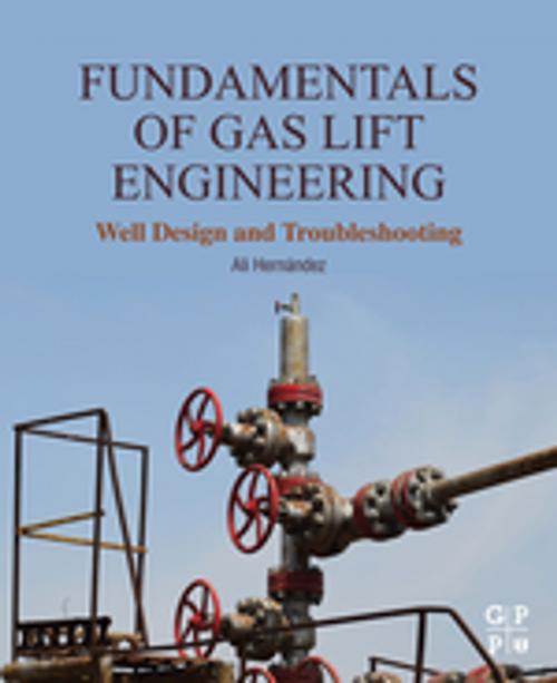 Cover of the book Fundamentals of Gas Lift Engineering by Ali Hernandez, Elsevier Science