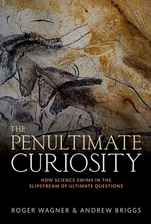 Cover of the book The Penultimate Curiosity by Roger Wagner, Andrew Briggs, OUP Oxford