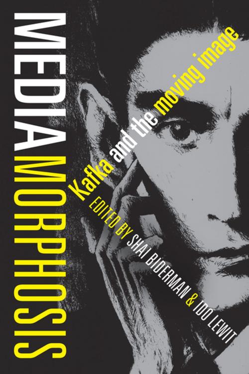 Cover of the book Mediamorphosis by , Columbia University Press