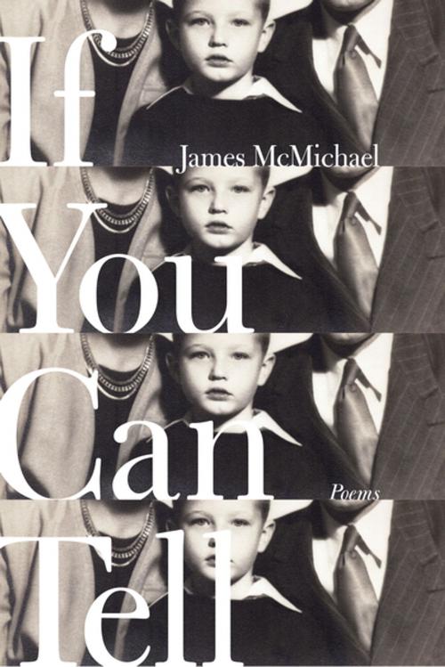 Cover of the book If You Can Tell by James McMichael, Farrar, Straus and Giroux