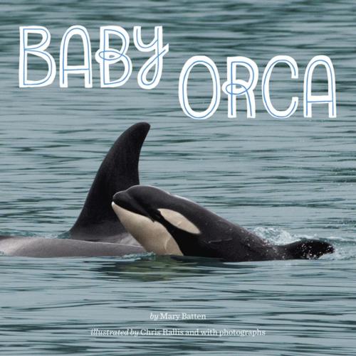 Cover of the book Baby Orca by Mary Batten, Penguin Young Readers Group