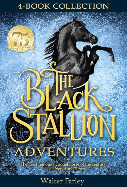 Cover of the book The Black Stallion Adventures by Walter Farley, Random House Children's Books