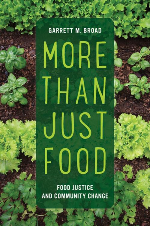 Cover of the book More Than Just Food by Garrett Broad, University of California Press