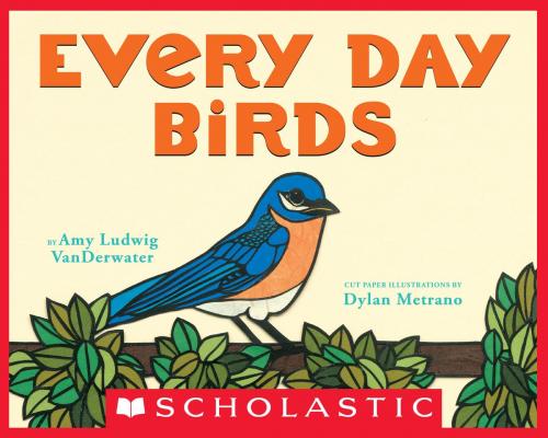 Cover of the book Every Day Birds by Amy Ludwig VanDerwater, Scholastic Inc.