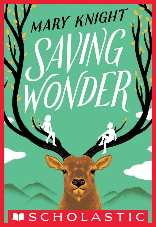 Cover of the book Saving Wonder by Mary Knight, Scholastic Inc.