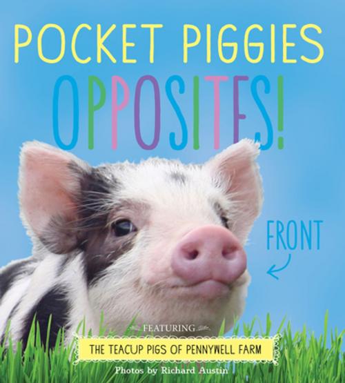 Cover of the book Pocket Piggies Opposites! by , Workman Publishing Company