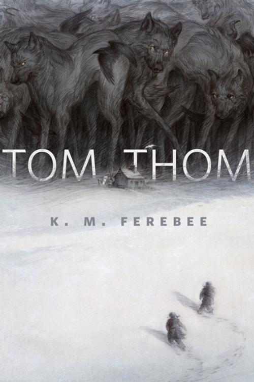 Cover of the book Tom, Thom by K. M. Ferebee, Tom Doherty Associates